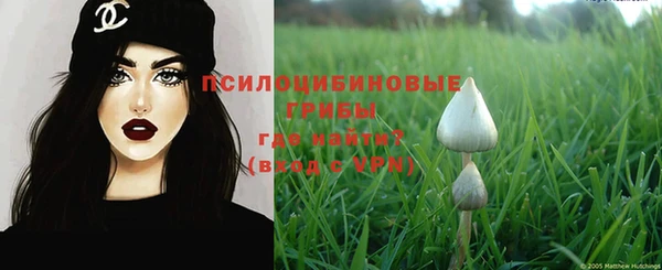 прущие крисы Верея