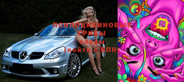 прущие крисы Верея
