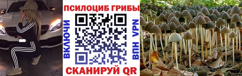 Псилоцибиновые грибы мицелий  Семёнов 